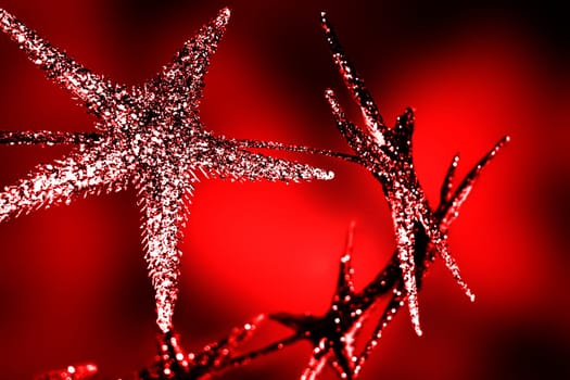 Christmas Bright Stars