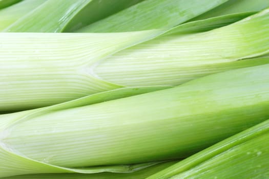 Leek
