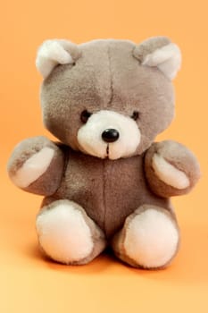 Teddy