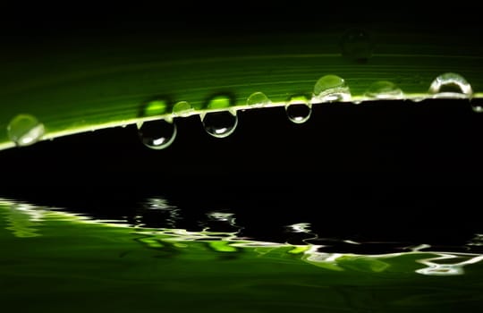 drop background