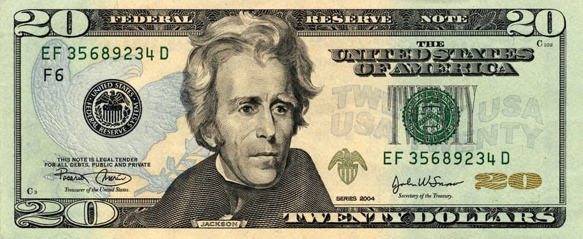 20 usa dollar