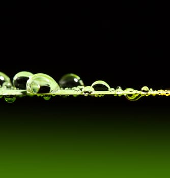 drop background
