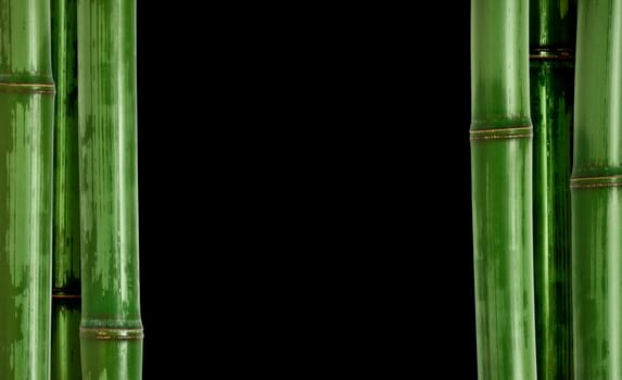 hard bamboo background