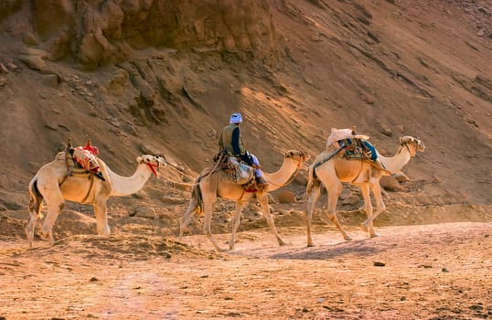 Caravan Part