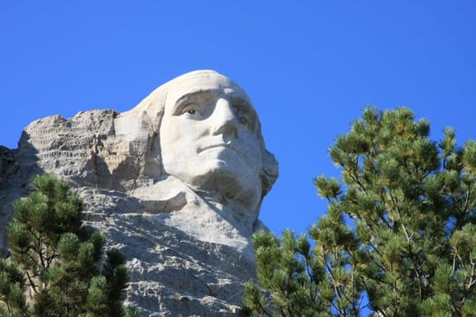 Rushmore 010