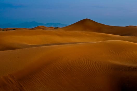 Desert 7