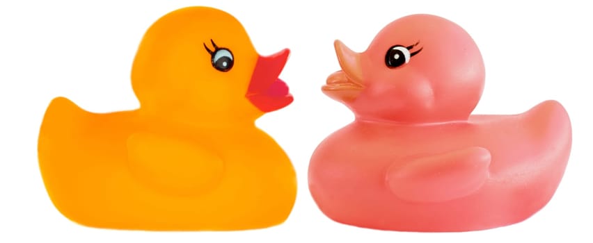 Two plastic duck