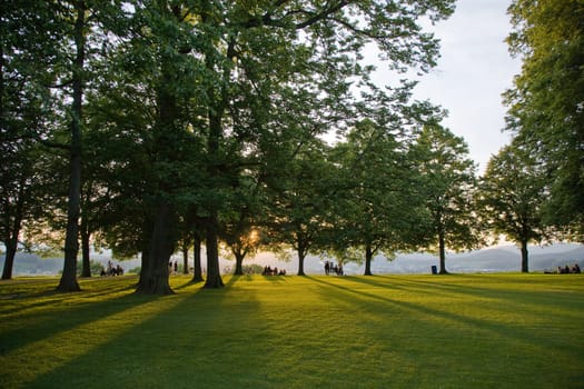 Evening sun on the serene