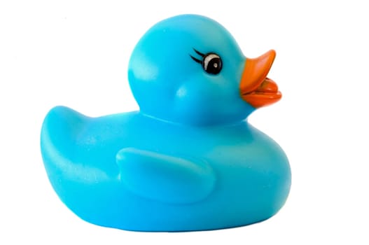 Blue plastic duck