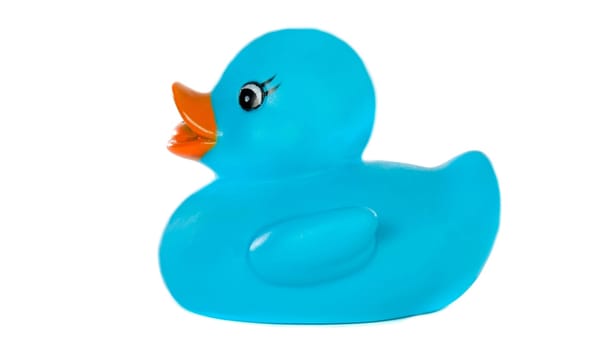 Blue plastic duck