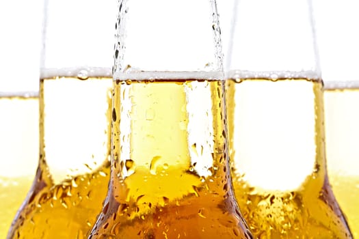 beer closeup on white