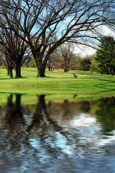 autumn park landscape