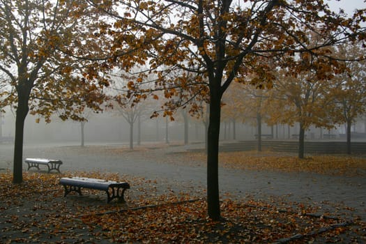 Fog Park