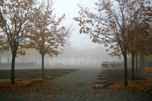 Autumn Park