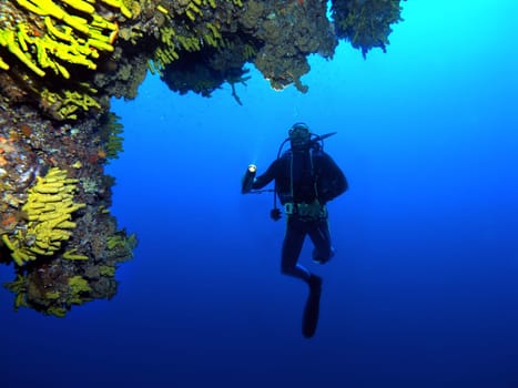 Diver on steep wall