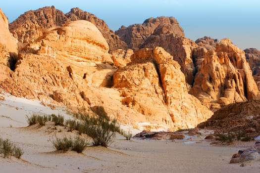 In the White Canyon