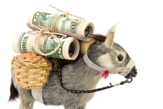 Gold - Donkey
