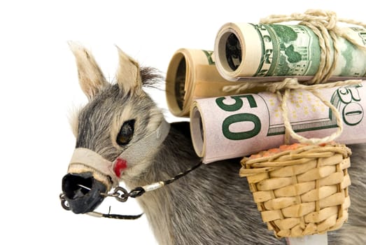 Gold - Donkey