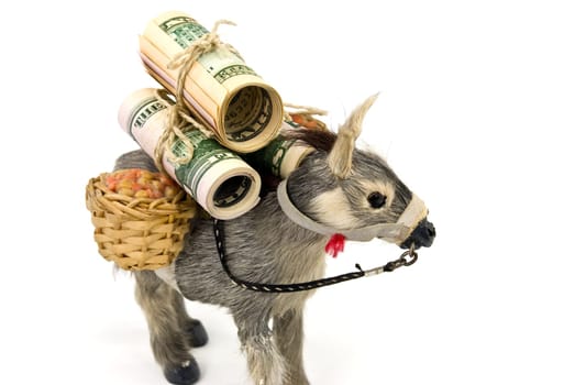 Gold - Donkey