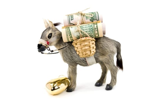 Gold - Donkey