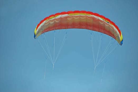 Kite