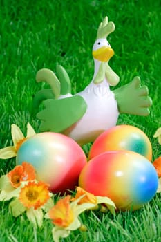 Green Rooster