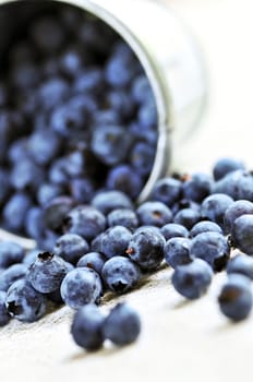 Blueberries