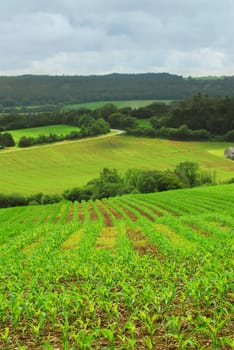 Agricultural landscape