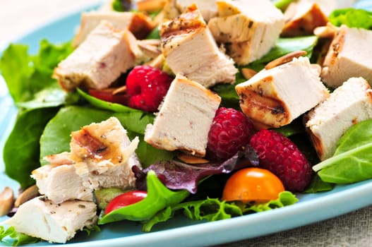 Green salad with grilled chicken