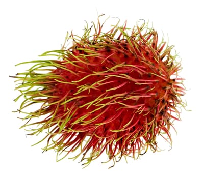 Rambutan,exotic fruit