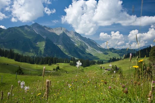 Brienzer Rothorn