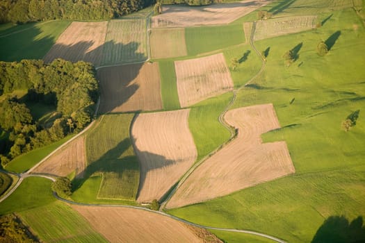 Green meadow