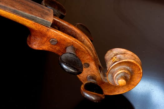Violin