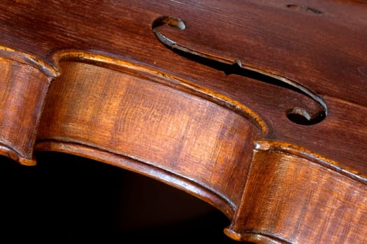 Violin