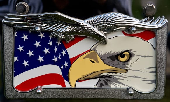 The American Eagle