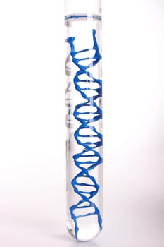 Laboratory DNA
