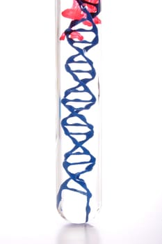 Laboratory DNA