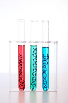 Laboratory DNA