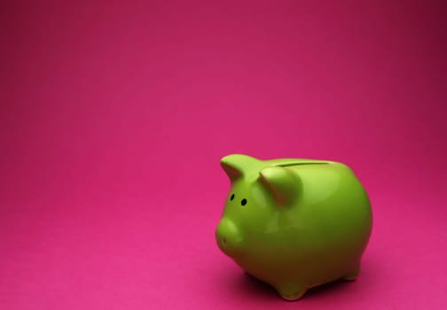 little piggy bank