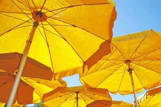 parasols