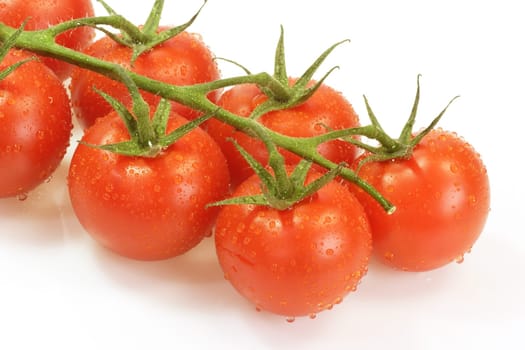 Tomatoes