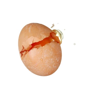 broken egg
