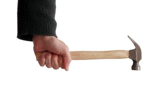 Hand Holding Hammer