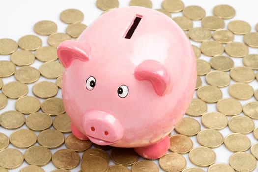 Pink piggy-bank and money