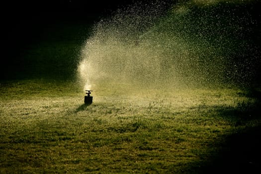 extinguish on green grass
