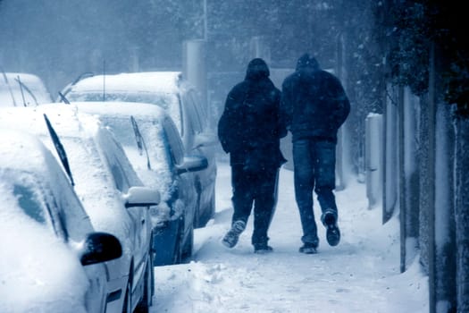 cars covered with snow
