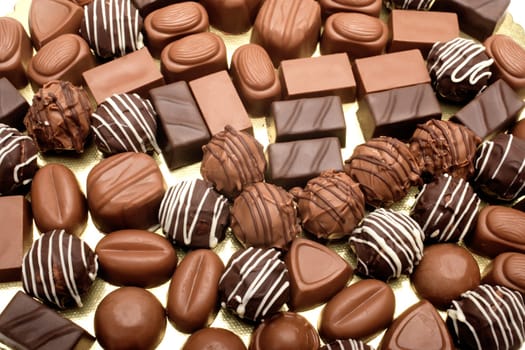 chocolates on white background
