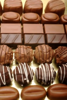 chocolates on white background