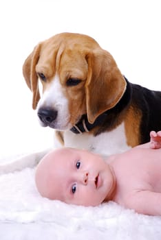 Protector