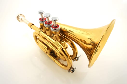 Pocket Trumpet 1